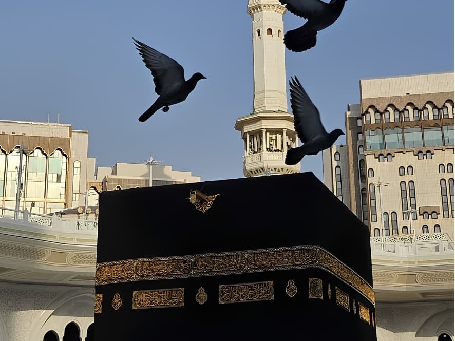 Umrah Visa Services for USA Pilgrims