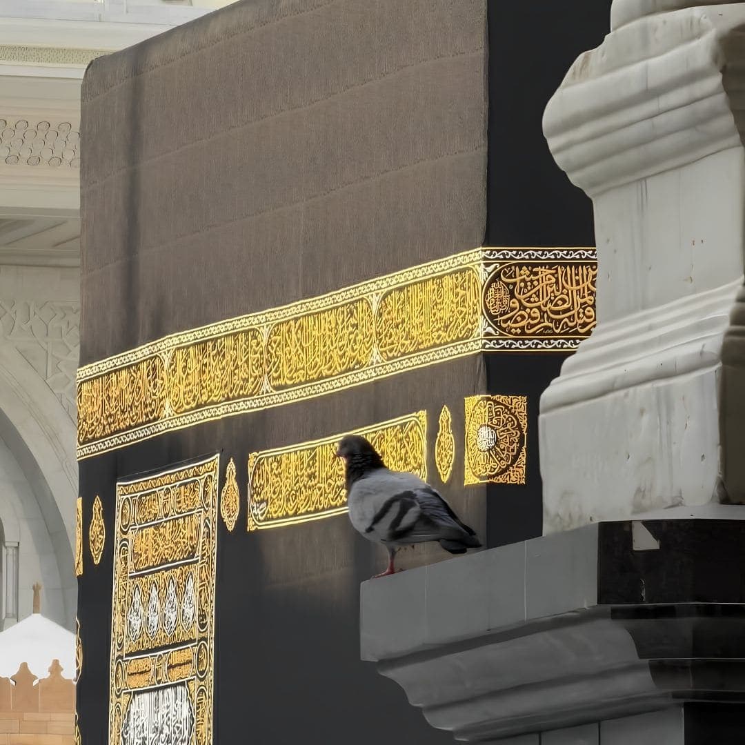Group Umrah Packages from Major US Cities